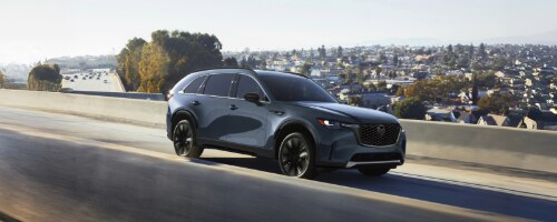 2026-cx-90-galleryexpanded-image-0013%20(1).jpg