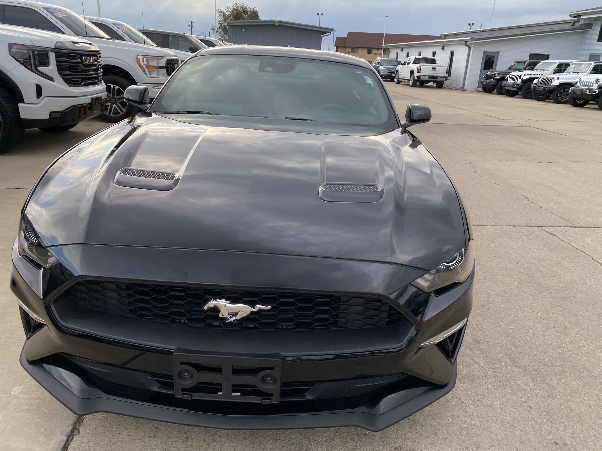 2022 Ford Mustang EcoBoost photo 2