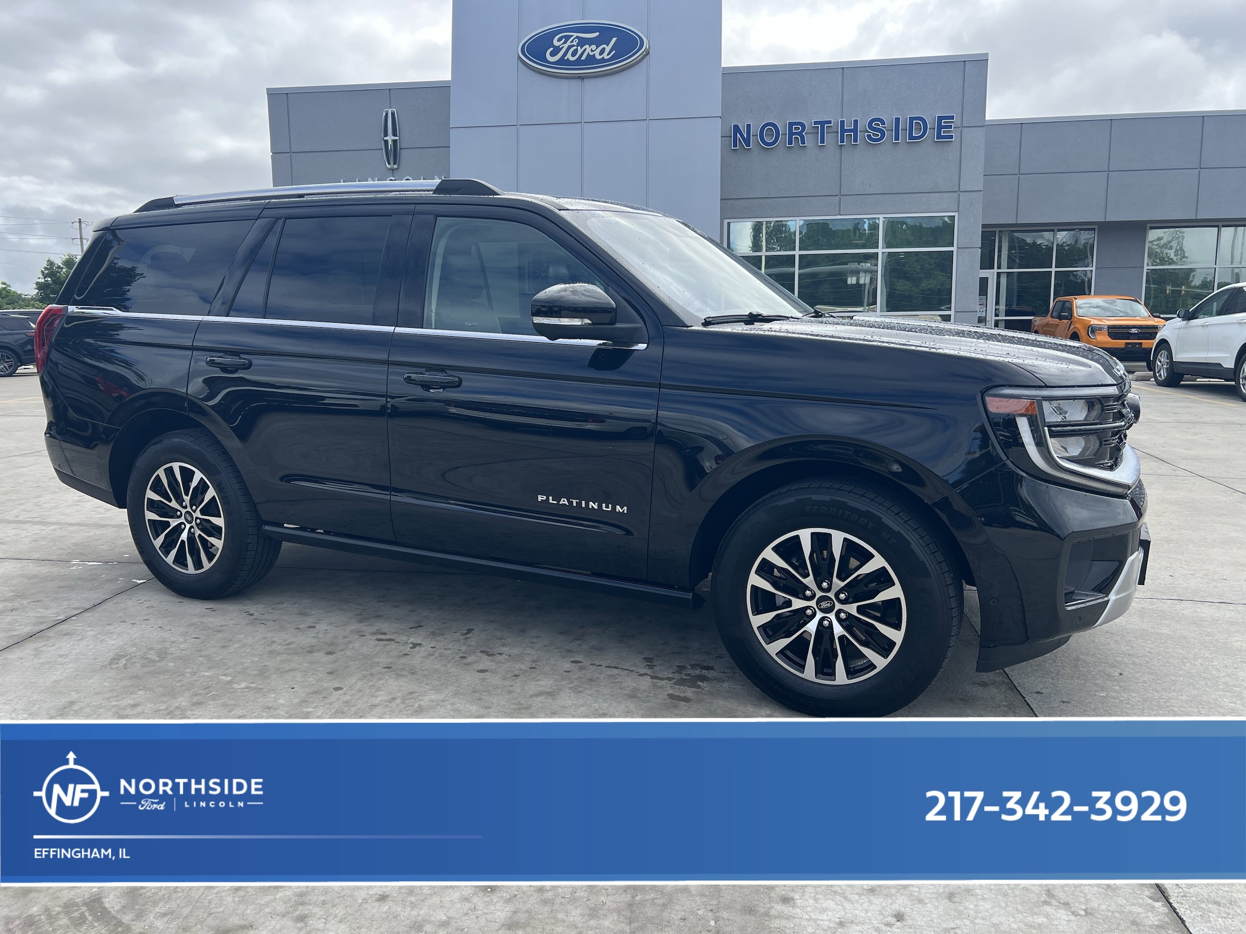2025 Ford Expedition Platinum 4x4's photo