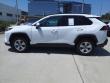2020 Toyota RAV4 XLE SUV