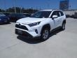 2020 Toyota RAV4 XLE SUV