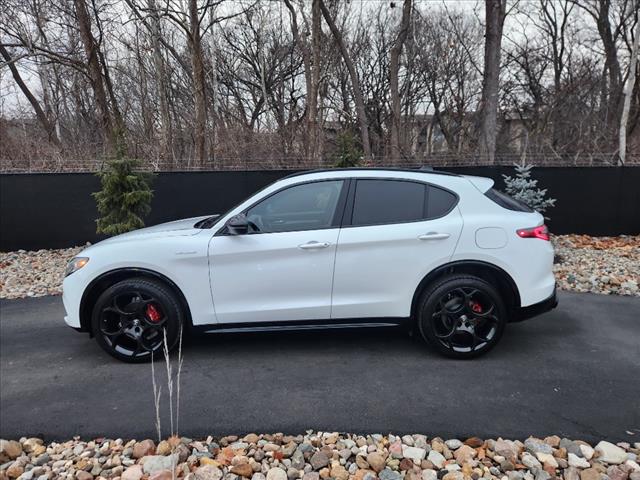 2024 Alfa Romeo Stelvio Tributo Italiano photo 2
