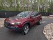 Used 2019 Jeep Cherokee Trailhawk 4x4 SUV
