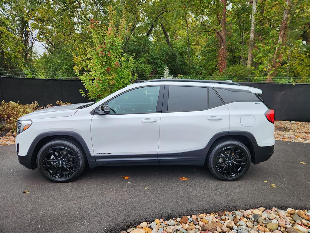 2020 Gmc Terrain SLT photo 2