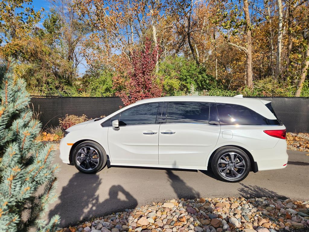 2023 Honda Odyssey Elite photo 2