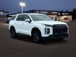 2025 Hyundai Palisade XRT AWD SUV 2025 Hyundai Palisade XRT AWD SUV
