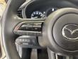 2023 Mazda CX-30 2.5 S Preferred Package SUV