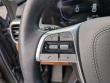 2024 Kia Telluride EX X-Line SUV