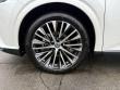2025 LEXUS RX 350h Premium Plus