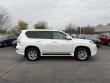 2019 LEXUS GX 460
