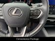 2024 LEXUS RX 350 PREMIUM Sport Utility