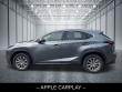 2021 LEXUS NX 300h SUV