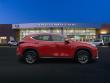 2025 LEXUS NX 350 PREMIUM Sport Utility