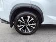 2021 LEXUS NX 300 F Sport SUV