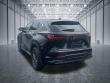 2023 LEXUS NX 350 Premium SUV