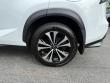 2021 LEXUS NX 300 F Sport SUV