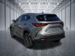 2024 LEXUS NX 350 Premium SUV