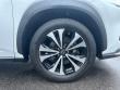 2018 LEXUS NX 300 F Sport SUV