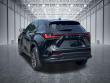 2025 LEXUS NX 350 Premium SUV