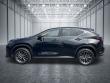 2025 LEXUS NX 350 Premium SUV