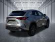 2024 LEXUS NX 350 Premium SUV