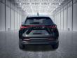 2025 LEXUS NX 350 Premium SUV
