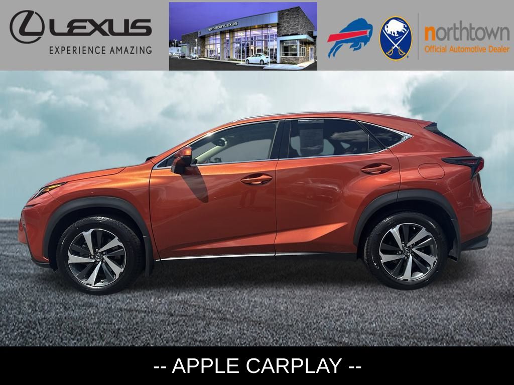 2021 Lexus NX 300 photo 2