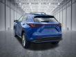 2024 LEXUS NX 350 Luxury SUV