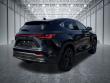 2024 LEXUS NX 450h+ Luxury SUV
