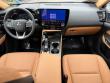 2025 LEXUS NX 350 PREMIUM Sport Utility