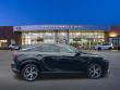 2024 LEXUS RX 350 Premium SUV