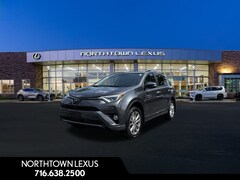 2017 Toyota RAV4 Platinum