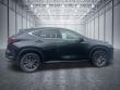 2023 LEXUS NX 350 Premium SUV