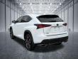 2021 LEXUS NX 300 F Sport SUV