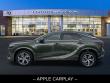 2025 LEXUS RX 350 PREMIUM Sport Utility