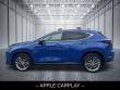 2024 LEXUS NX 350 Luxury SUV