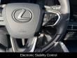 2025 LEXUS RX