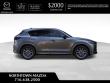 2025 Mazda CX-5 2.5 S Premium Plus AWD Sport Utility