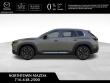 2025 Mazda CX-50 2.5 Turbo Meridian Edition AWD Sport Utility
