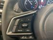 2024 Subaru Forester Premium Package 15 SUV