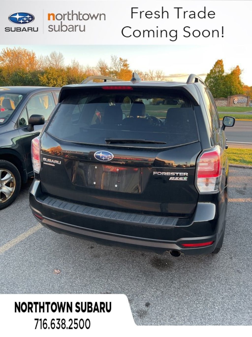 Buffalo 2017 Subaru Forester for Sale in NY, Amherst, Williamsville