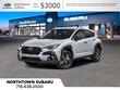  Subaru Crosstrek