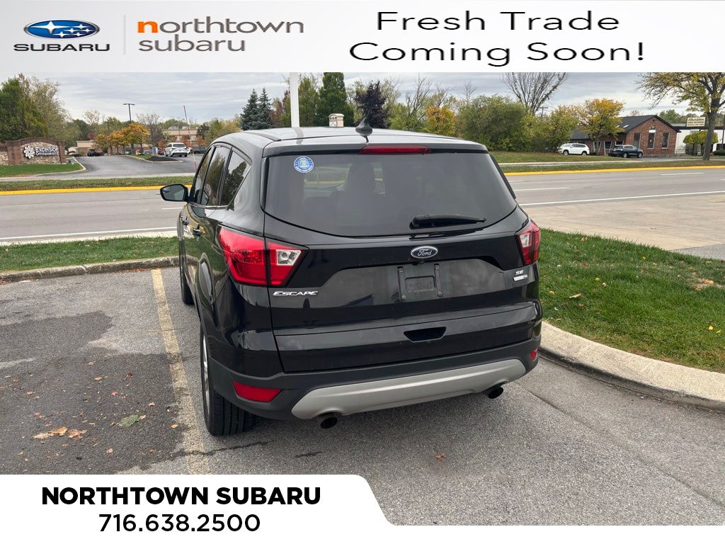 2019 Ford Escape SE photo 2