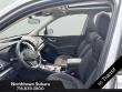 2024 Subaru Forester Premium SUV