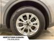 2023 Ford Escape Active SUV