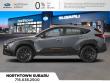 2026 Subaru Crosstrek Wilderness SUV
