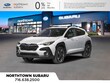  Subaru Crosstrek