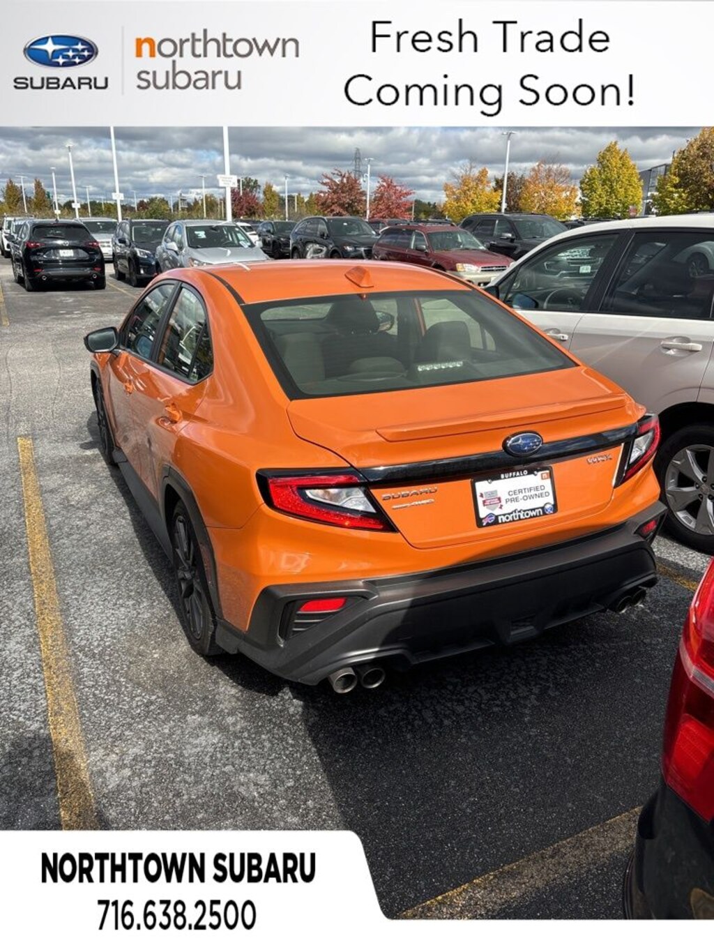 Buffalo 2023 Subaru WRX for Sale in NY, Amherst, Williamsville, Orchard