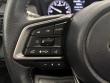 2025 Subaru Outback Premium SUV