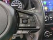 2023 Subaru Forester Wilderness SUV